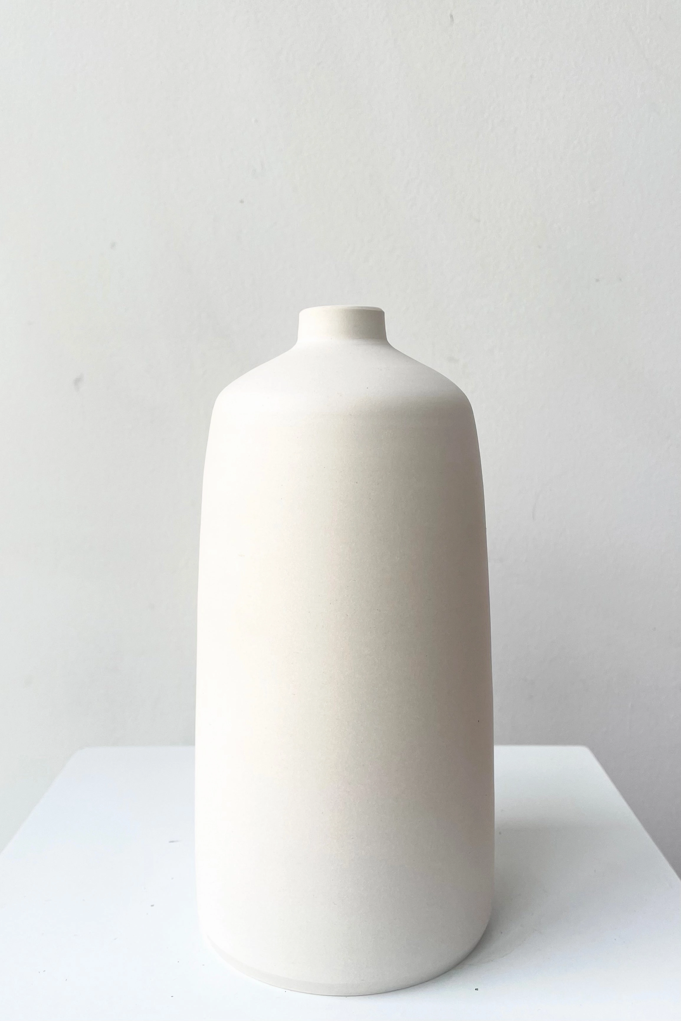 Bud Vase Ivory Medium dried green plant  