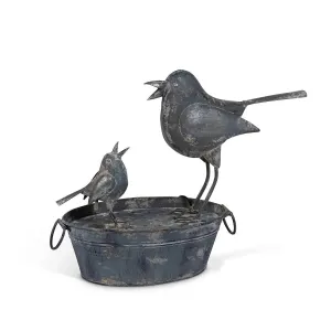 Busy Birds Fountain dried flowers  