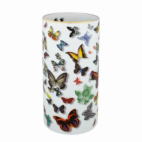Butterfly Parade - Vase (Gift Box) mini ornamental plant  