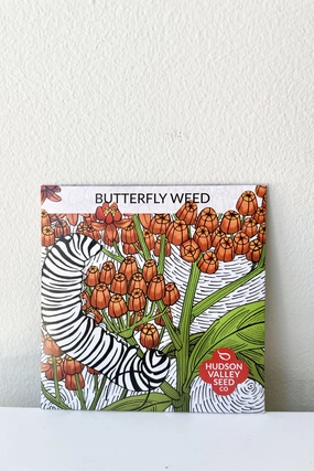 Butterfly Weed Art Pack Seeds decorative flowerpot  