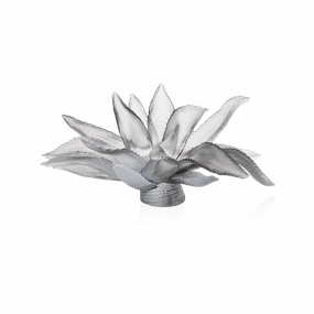Cactus Garden - Grey Centrepiece mini ornamental plant  