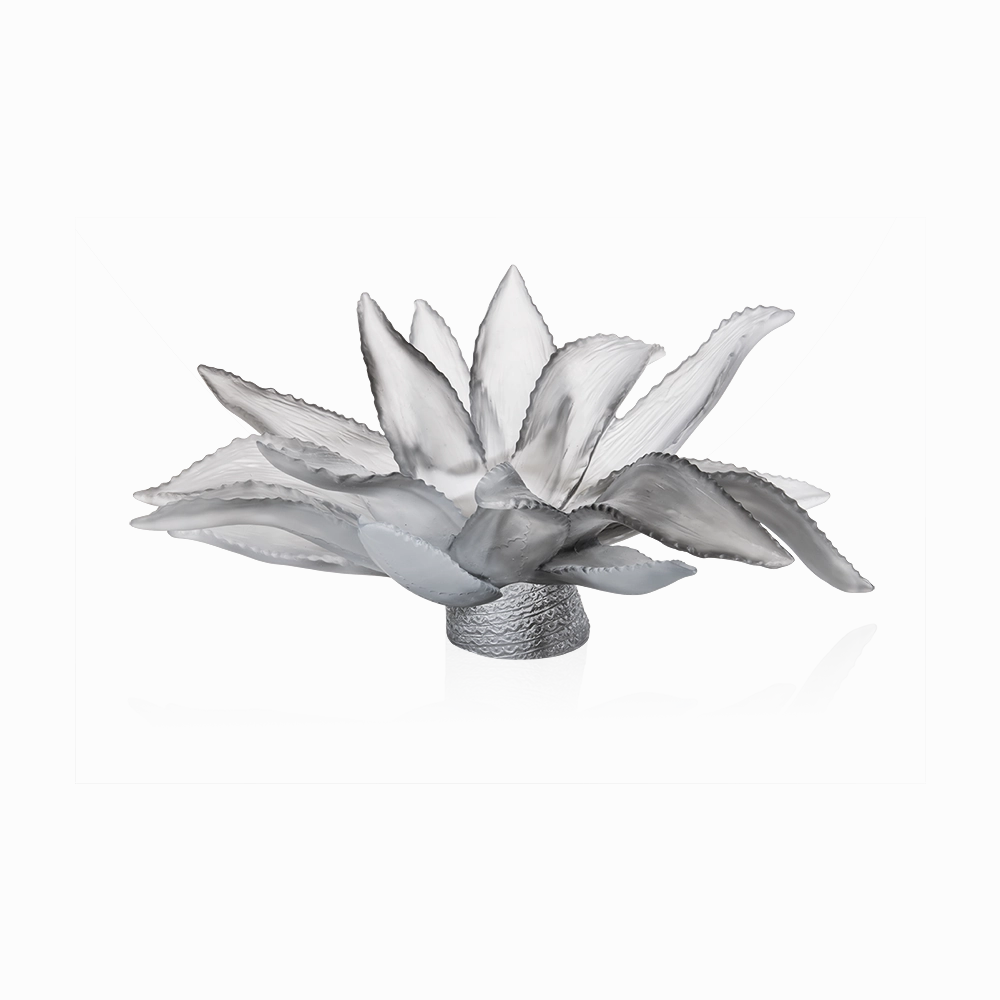 Cactus Garden - Grey Centrepiece mini ornamental plant  