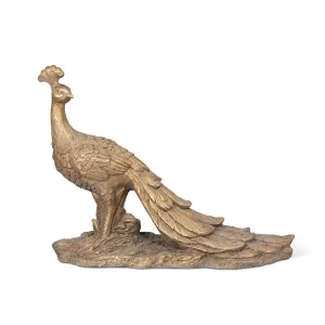 Cameo Peafowl Statue dried flowers  