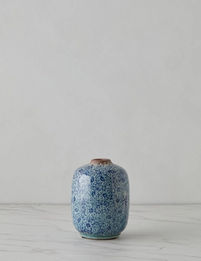 Cardenas Vase, Small mini ornamental plant  