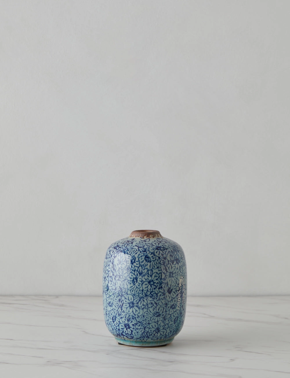 Cardenas Vase, Small mini ornamental plant  