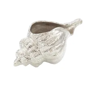 Caribbean Conch Seashell Sculpture in Nickel dried flowers  