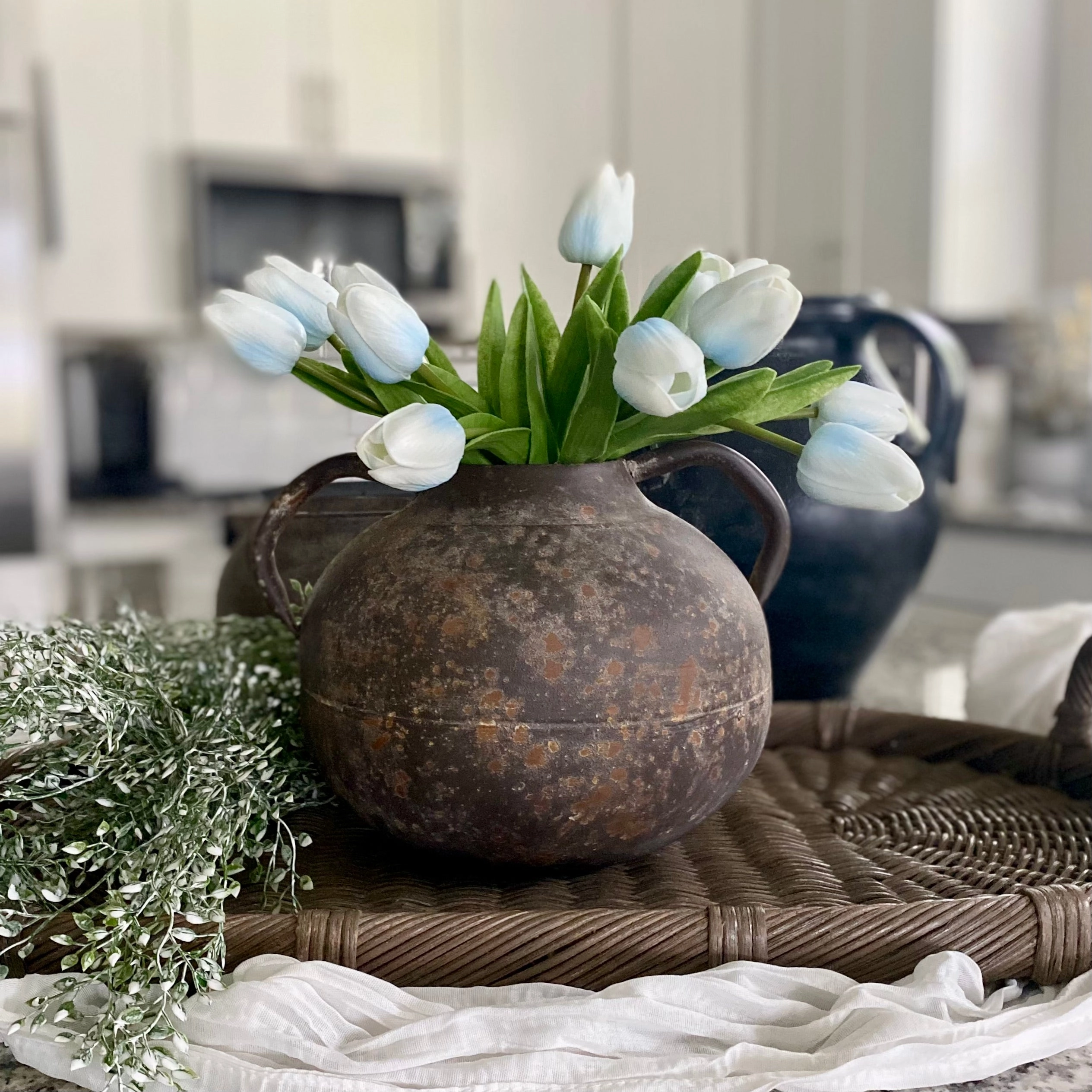 Carlo Vessel outdoor greenery  