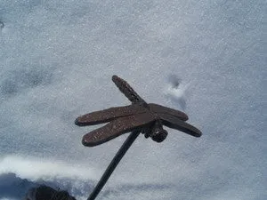 Cast Iron Dragonfly on Stake decorative plants  