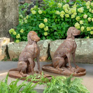 Cast Iron Hound Pair dried flowers  