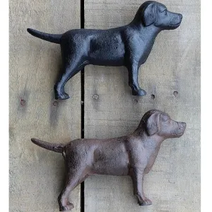 Cast Iron Labrador dried flowers  