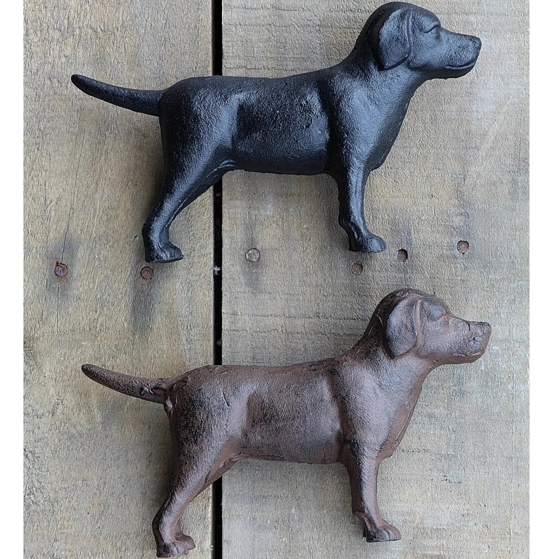 Cast Iron Labrador dried flowers  