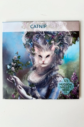 Catnip Art Pack Seeds decorative flowerpot  