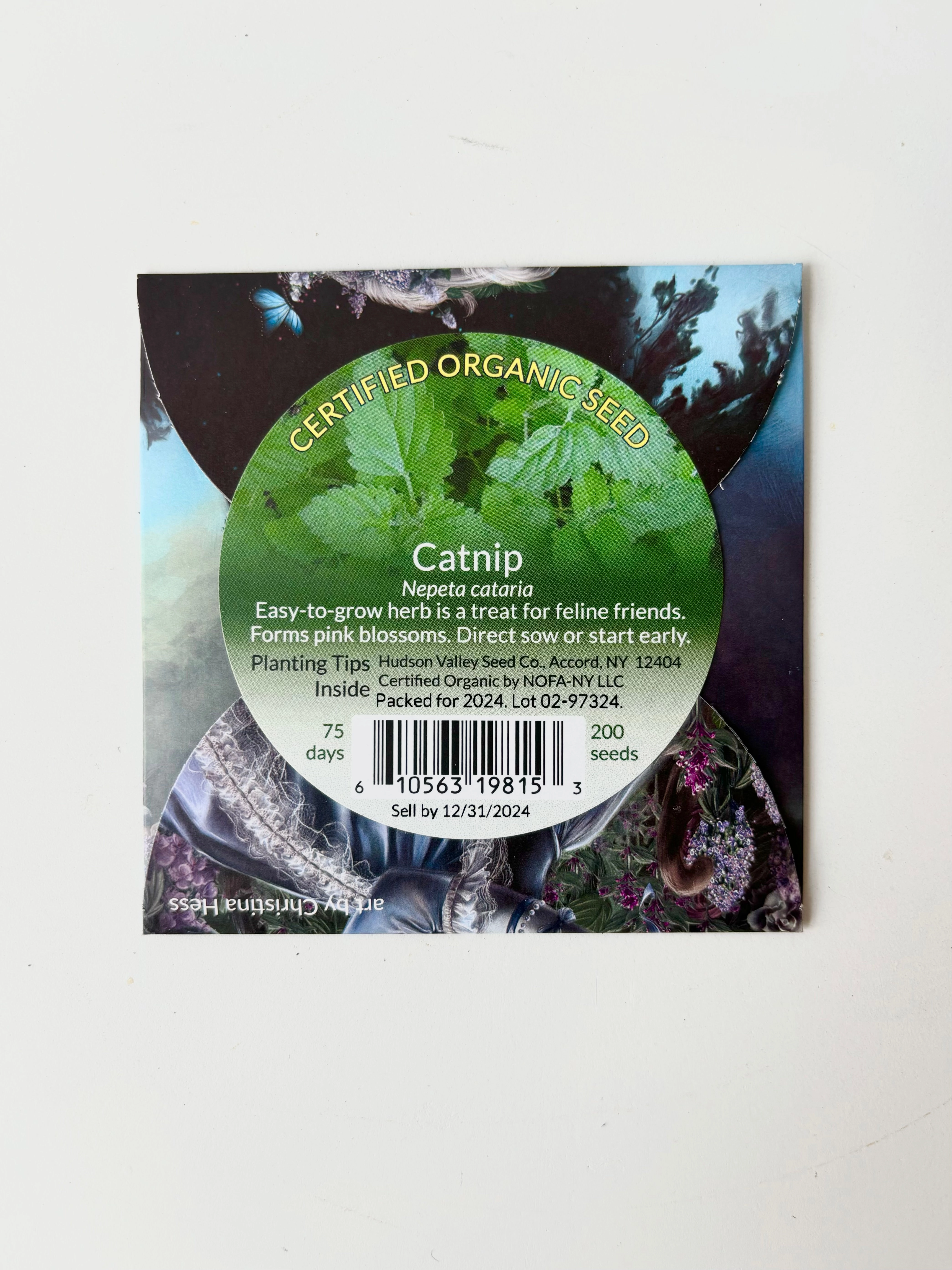 Catnip Art Pack Seeds