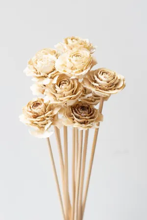 Cedar Rose Bleached Pastel Preserved Bunch indoor houseplants  