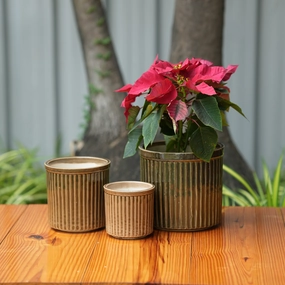 Celendrical Ribbed Ceramic Planter (Brown) desktop planter  