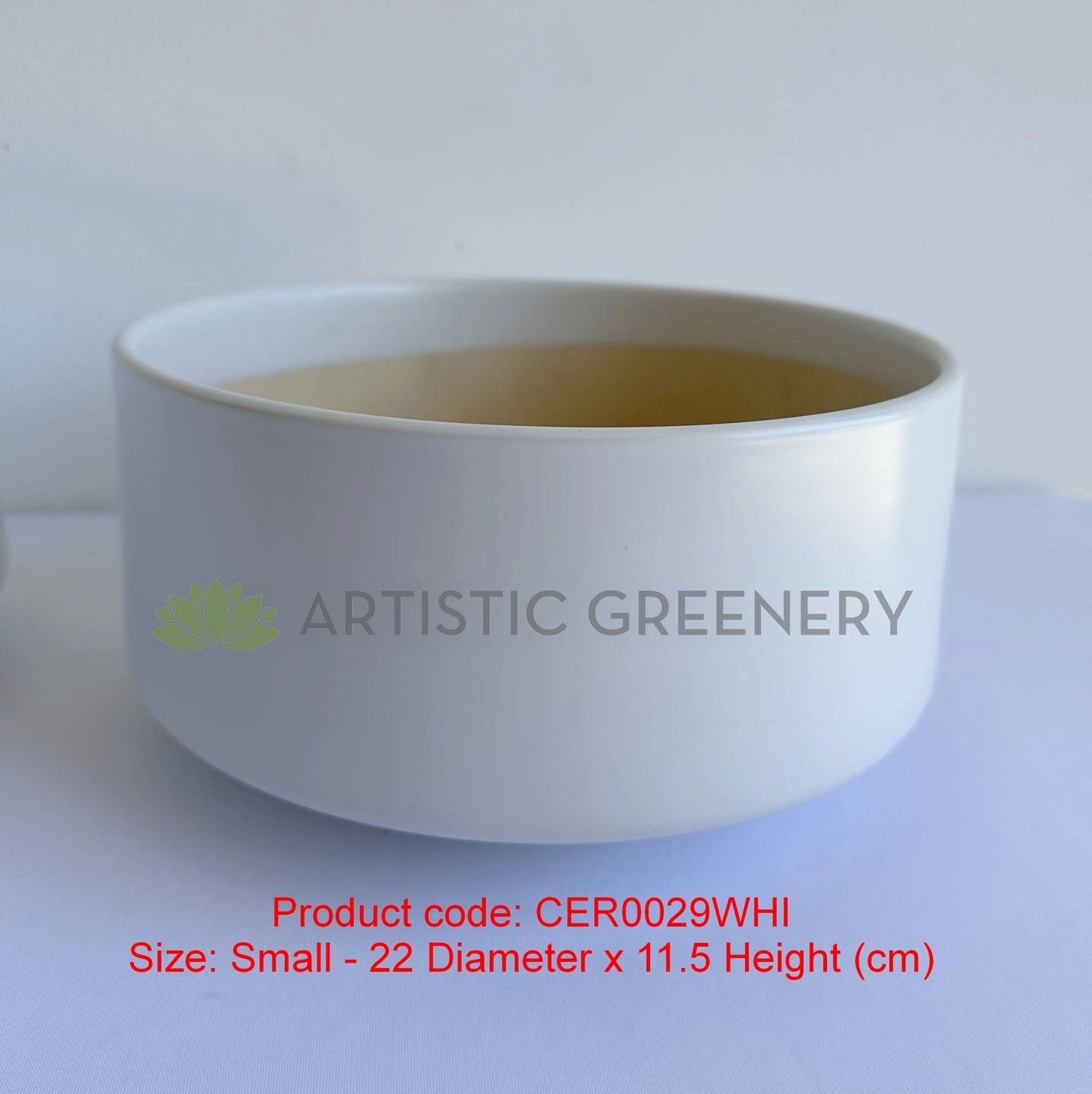 CER0029WHI White Round Ceramic Planter - 3 Sizes