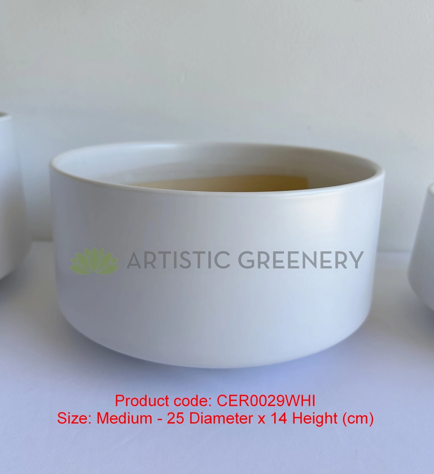 CER0029WHI White Round Ceramic Planter - 3 Sizes