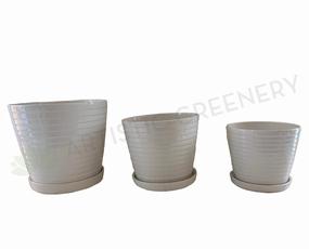 CER127 Glazed Ribbed Ceramic Pot with Saucer - White - 3 Sizes outdoor greenery  