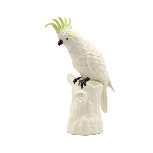Ceramic Cockatoo dried flowers  