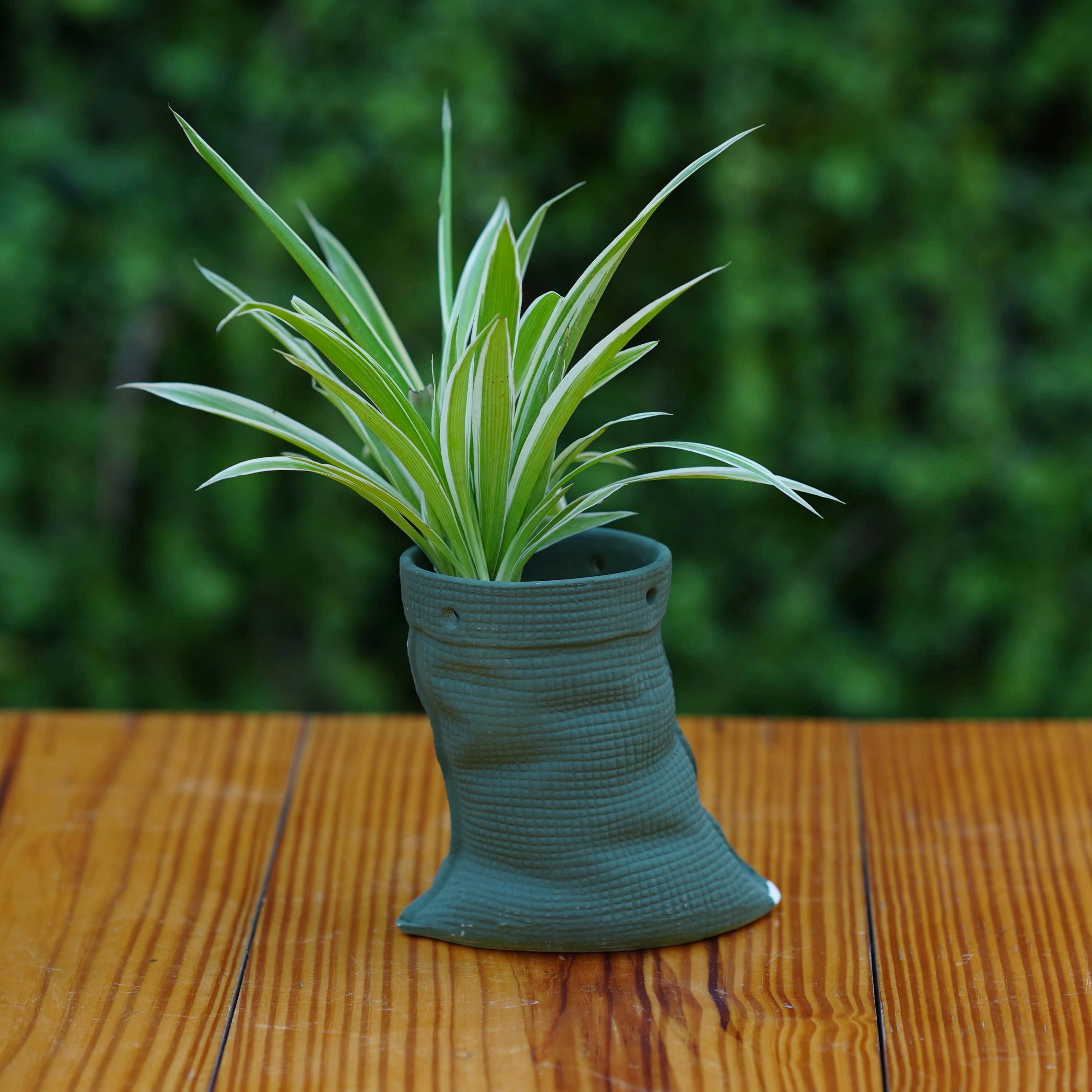 Ceramic Artisanal Grooved Tapered Pot/ Planter For Plants