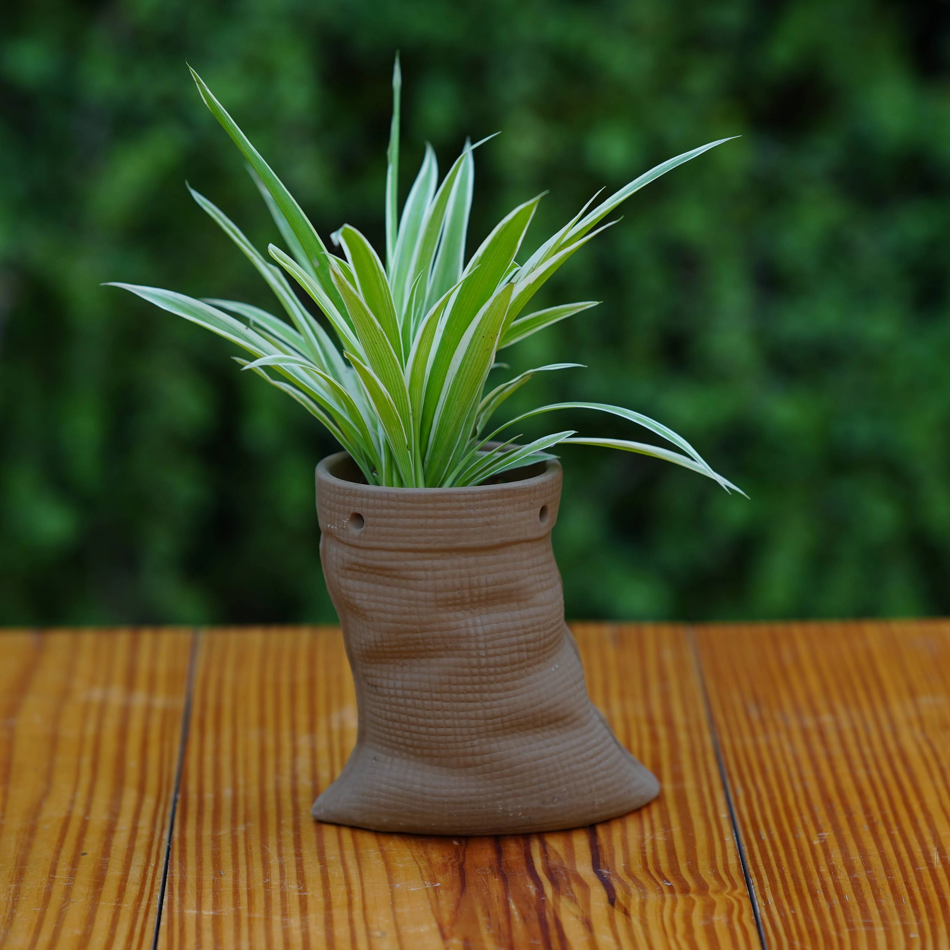 Ceramic Artisanal Grooved Tapered Pot/ Planter For Plants