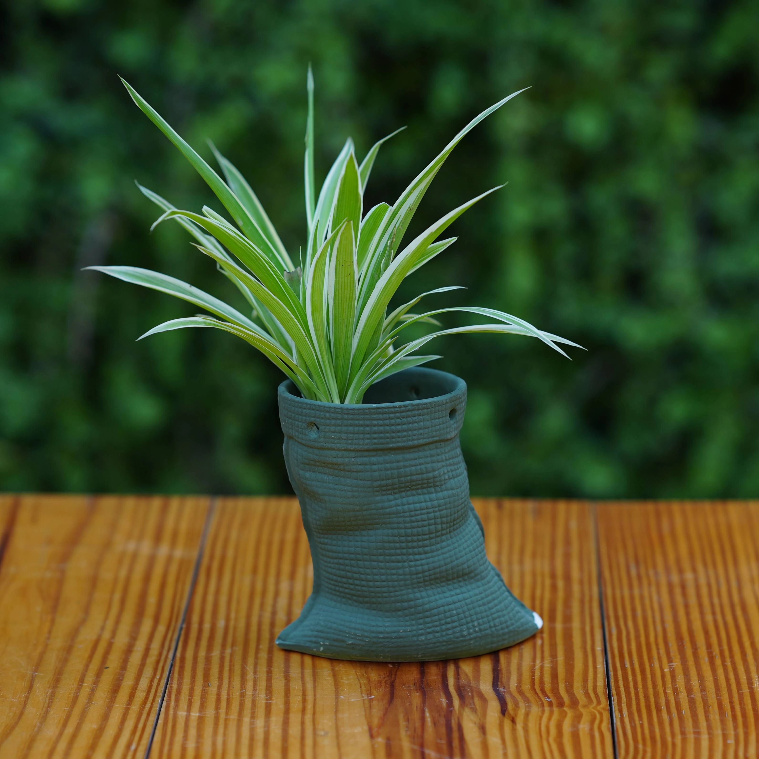 Ceramic Artisanal Grooved Tapered Pot/ Planter For Plants