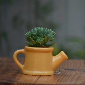 Ceramic Baby Watering Can Pot For Plants shade perennial  