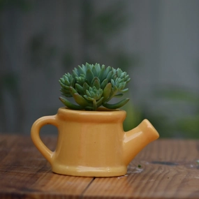 Ceramic Baby Watering Can Pot For Plants hanging green plant  