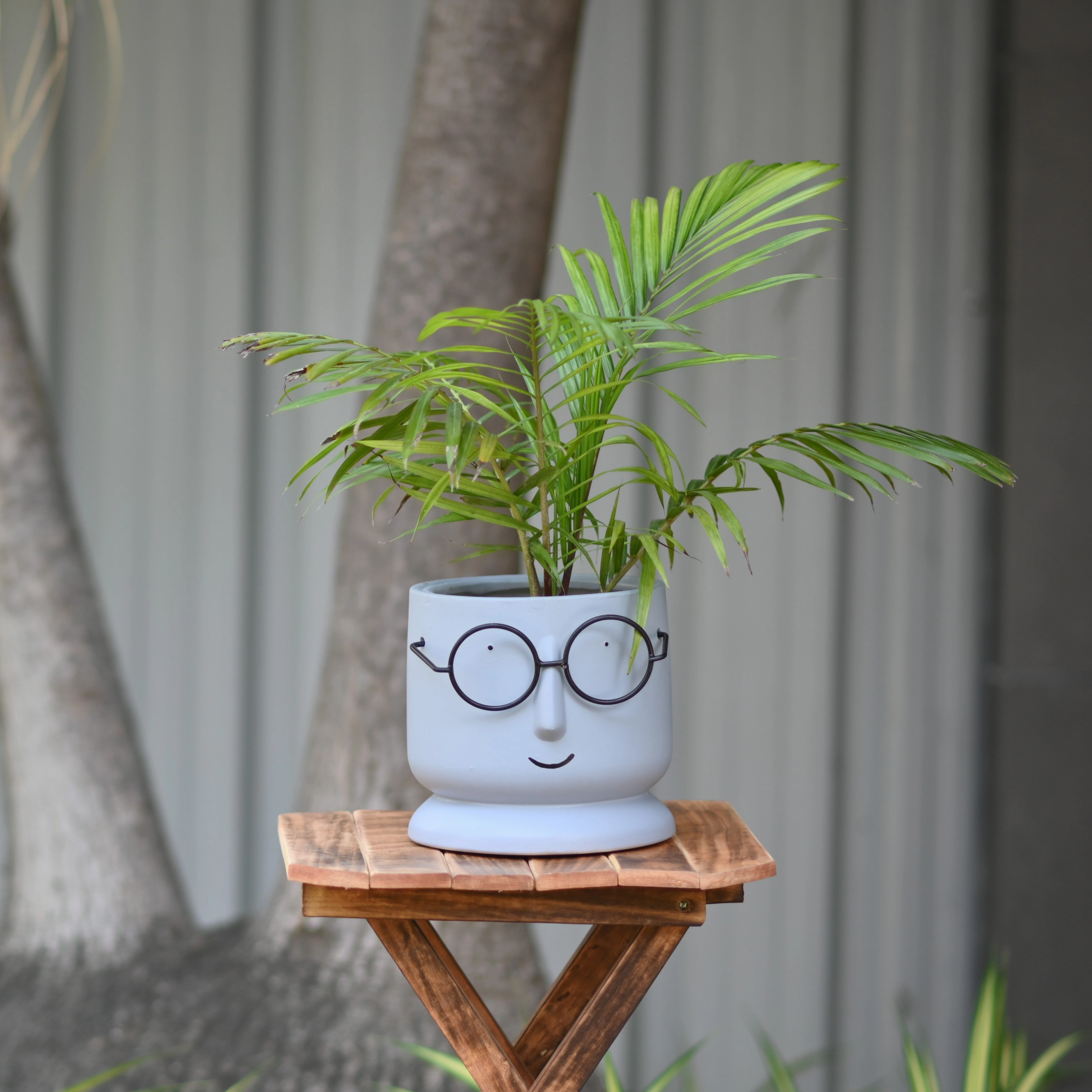 Ceramic Big Face Pot with Spectacles