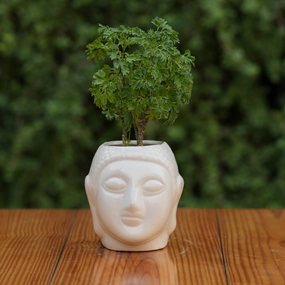 Ceramic Buddha Planter, 6 inch shade perennial  