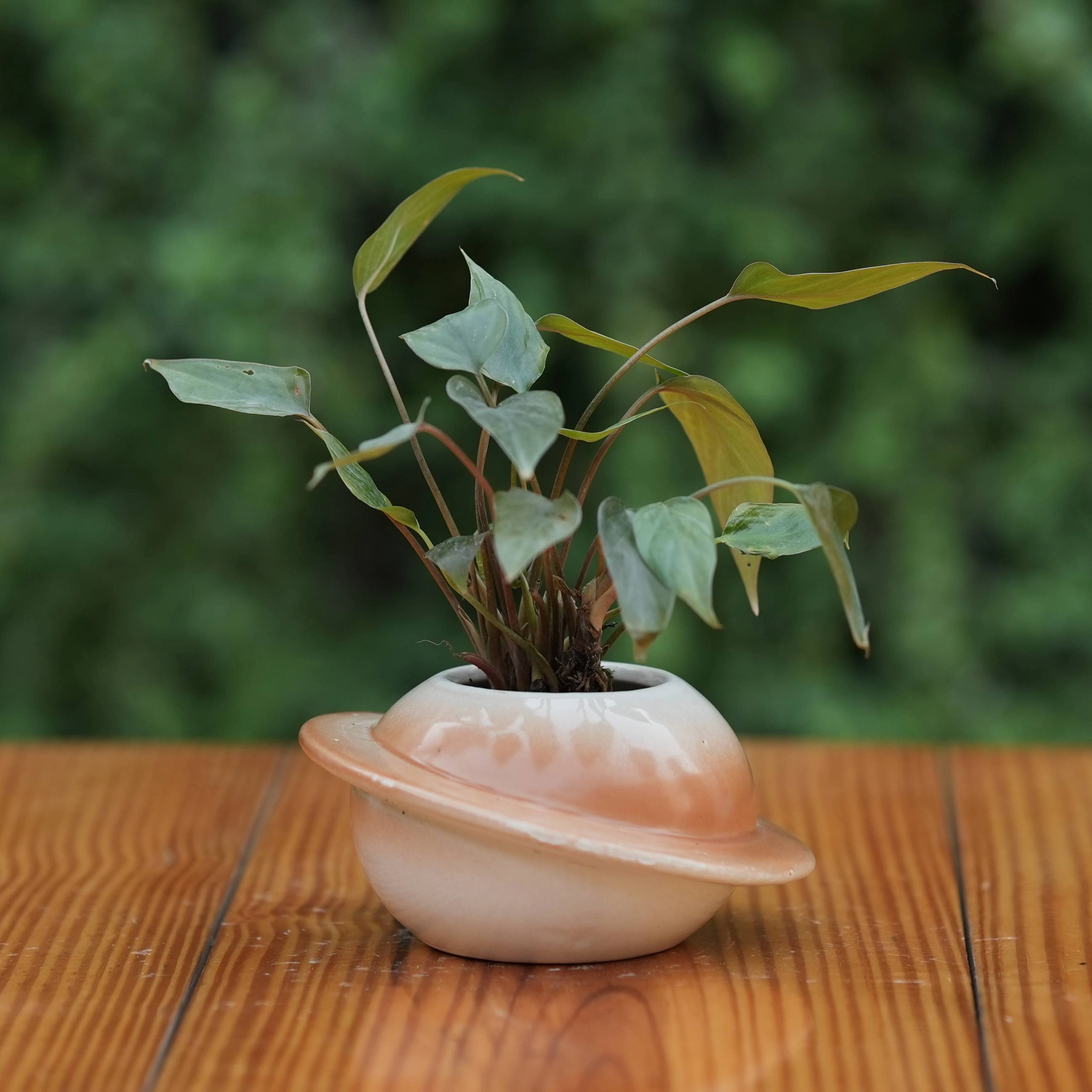 Ceramic Classic Cap Pot for Plants