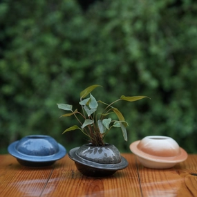 Ceramic Classic Cap Pot for Plants shade perennial  