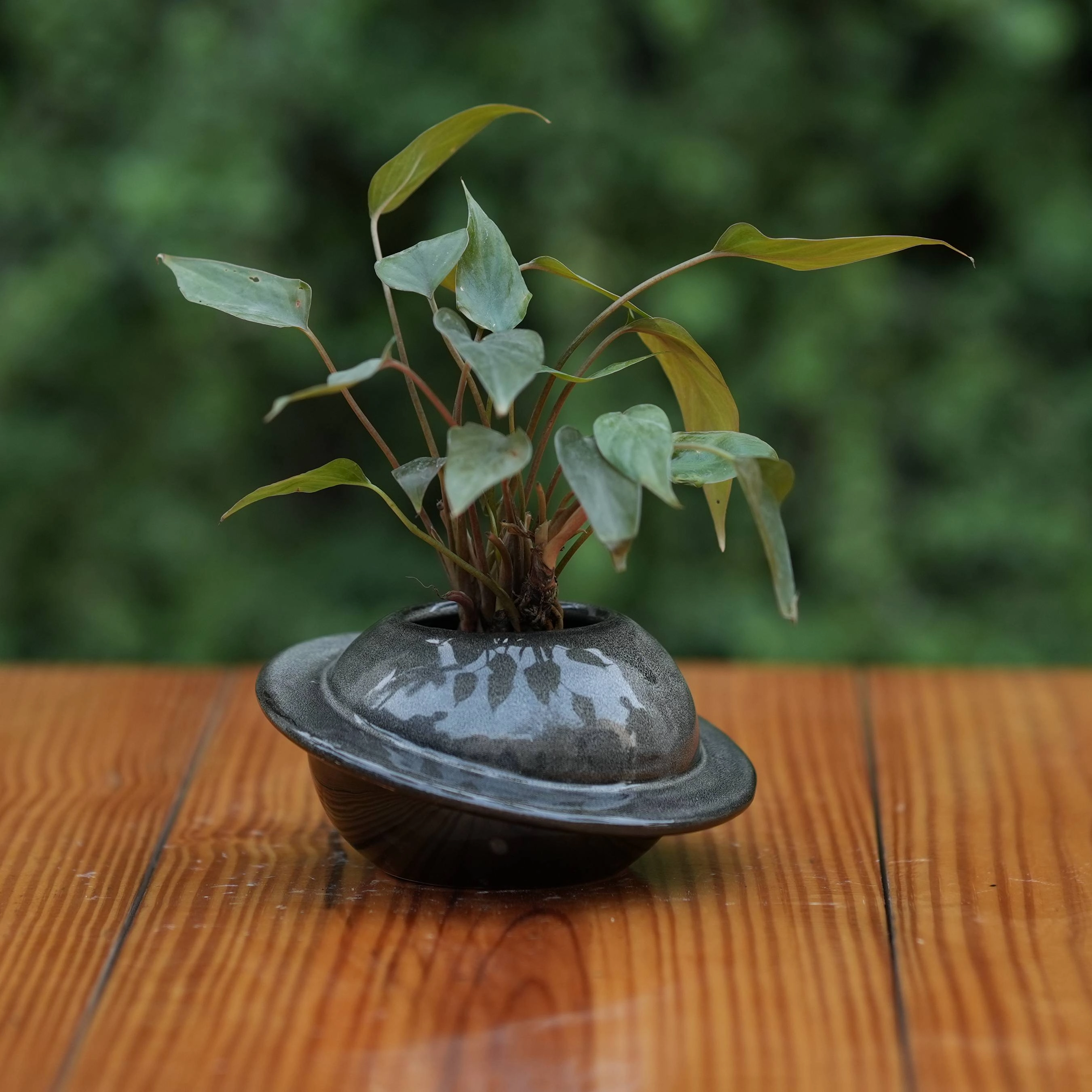 Ceramic Classic Cap Pot for Plants