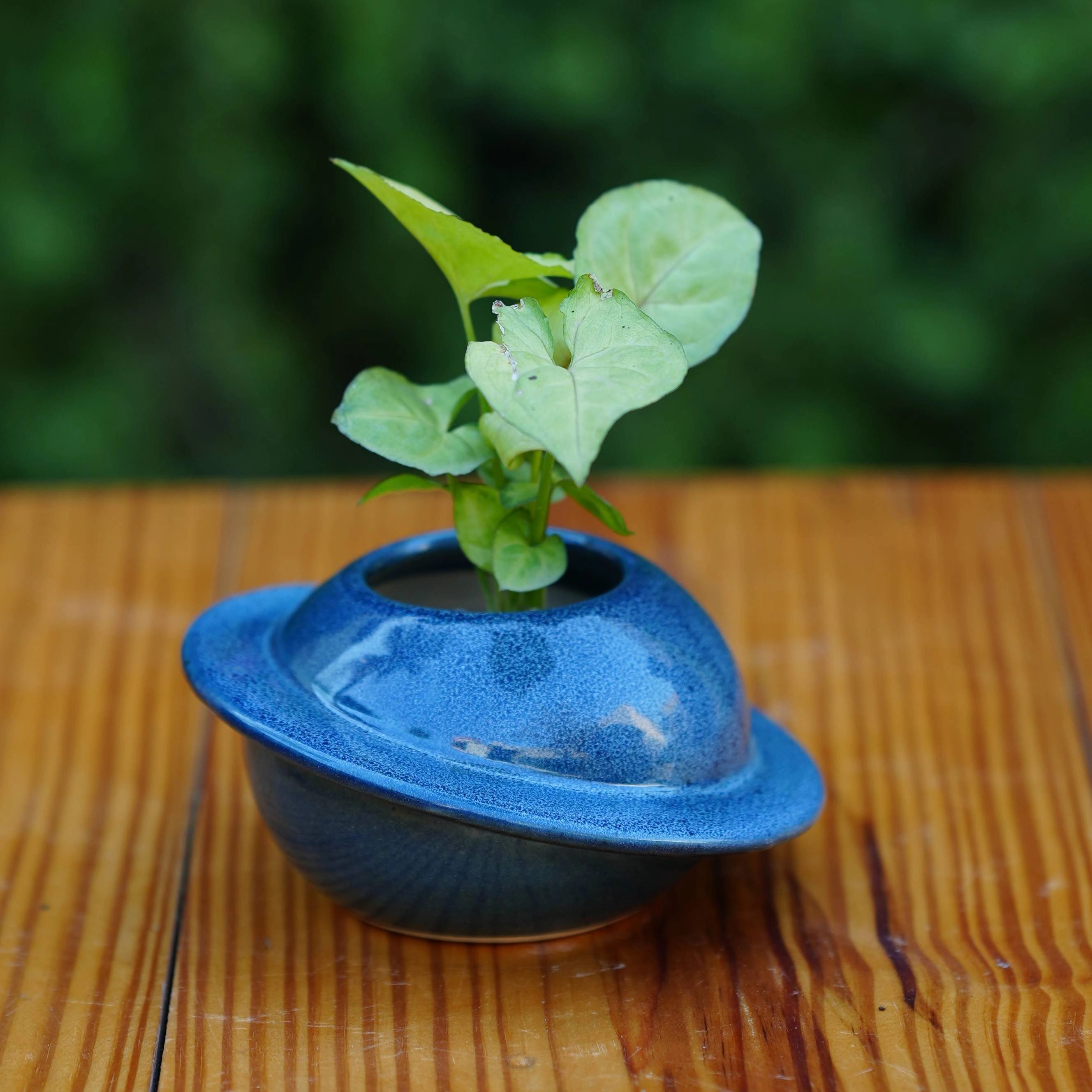 Ceramic Classic Cap Pot for Plants