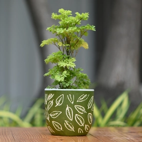 Ceramic Classic Leaf Print Pot/Planter shade perennial  