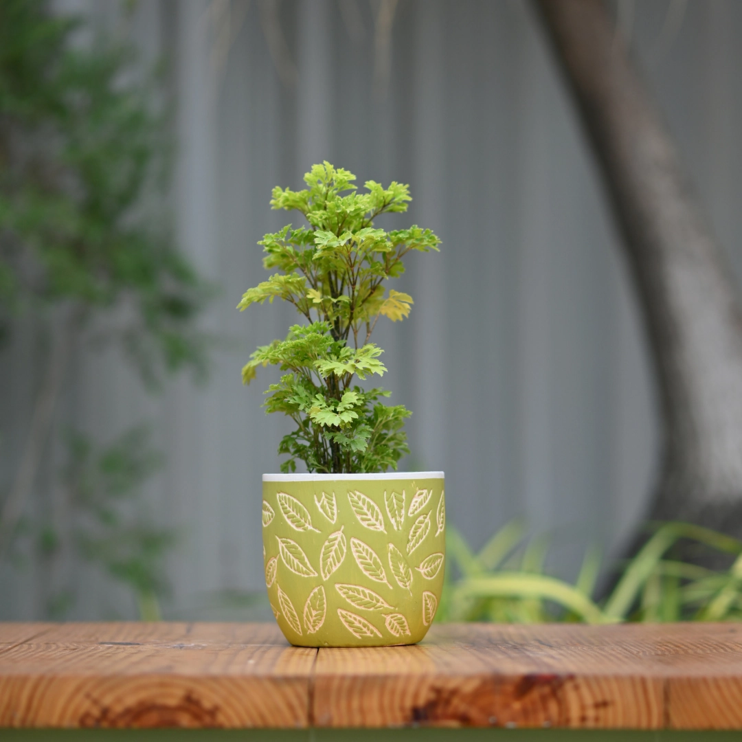 Ceramic Classic Leaf Print Pot/Planter