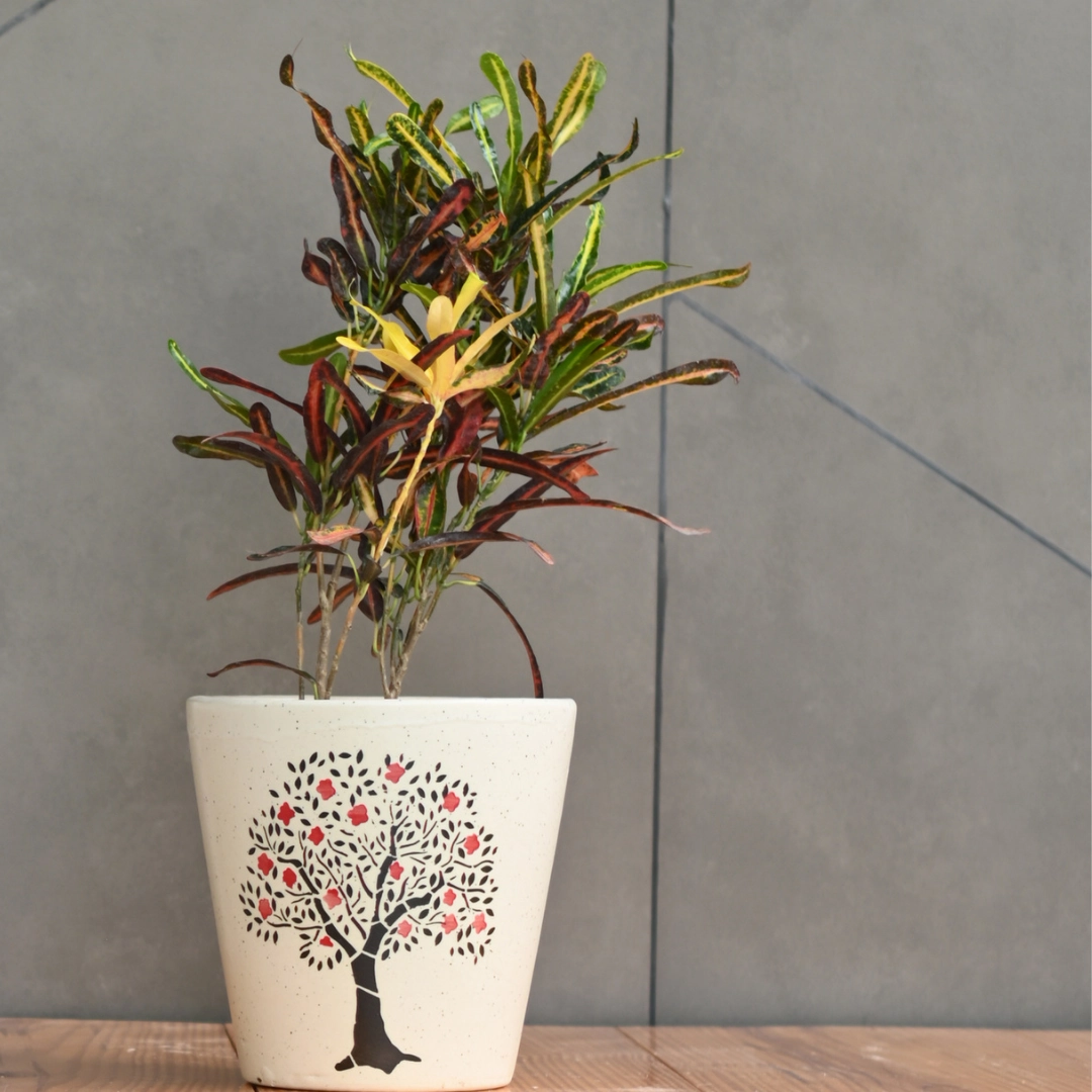 Ceramic Cone Pot With Tree Print
