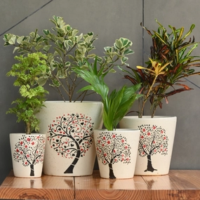 Ceramic Cone Pot With Tree Print shade perennial  