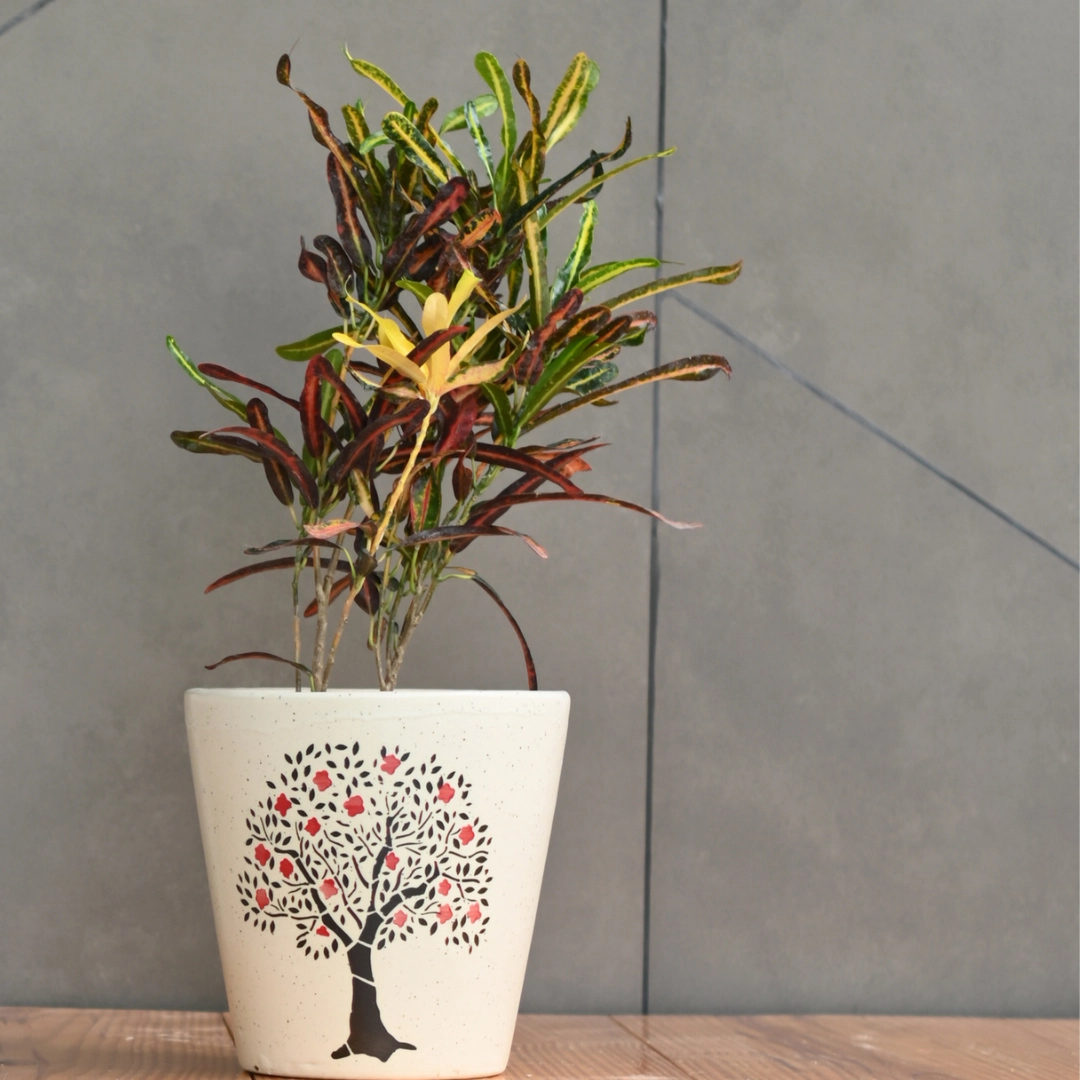 Ceramic Cone Pot With Tree Print