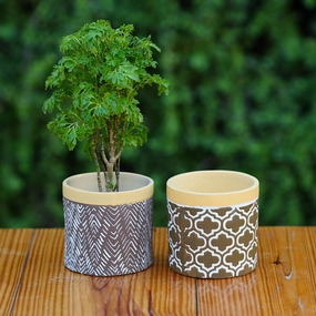 Ceramic Contemporary Wooden Accents Planter/ Pot For Plants desktop planter  