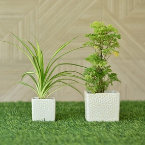 Ceramic Cube 3D Pot (White) desktop planter  