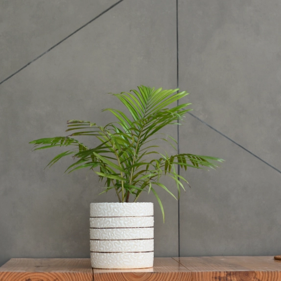 Ceramic Cylender 3D Golden Pot (White)