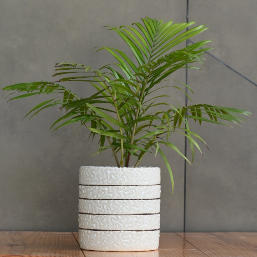 Ceramic Cylender 3D Golden Pot (White)