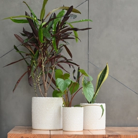 Ceramic Cylender 3D Pot (White) desktop planter  