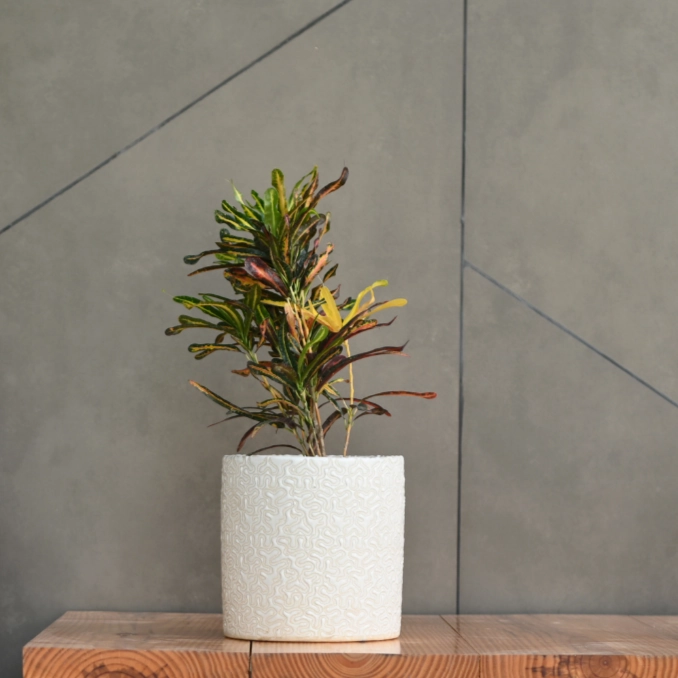 Ceramic Cylender 3D Pot (White)