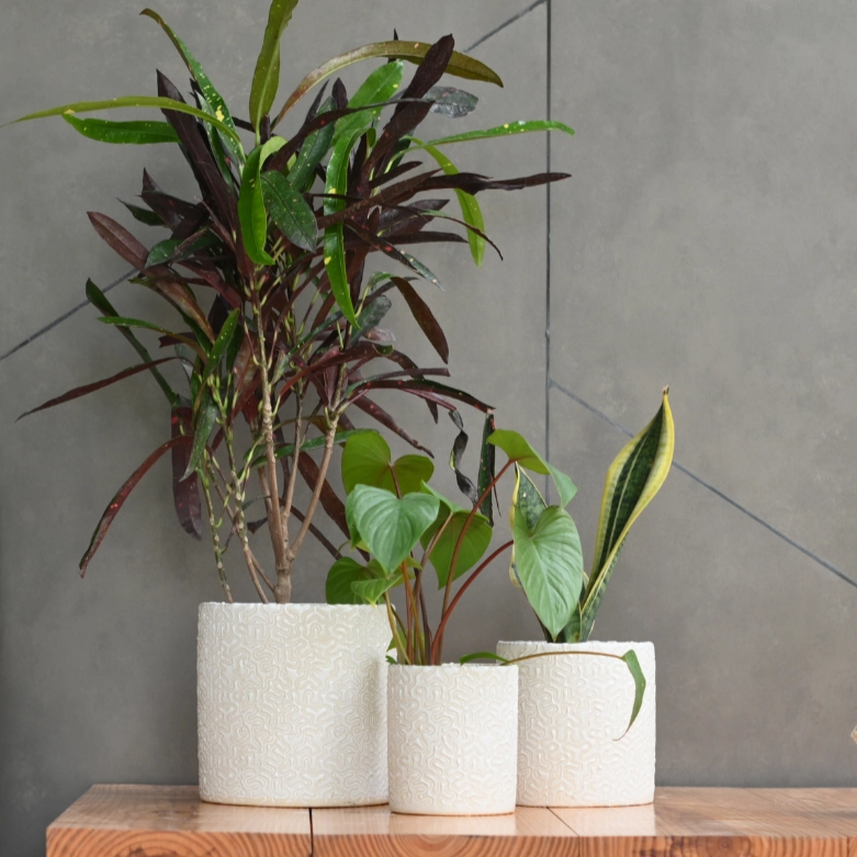 Ceramic Cylender 3D Pot (White) desktop planter  