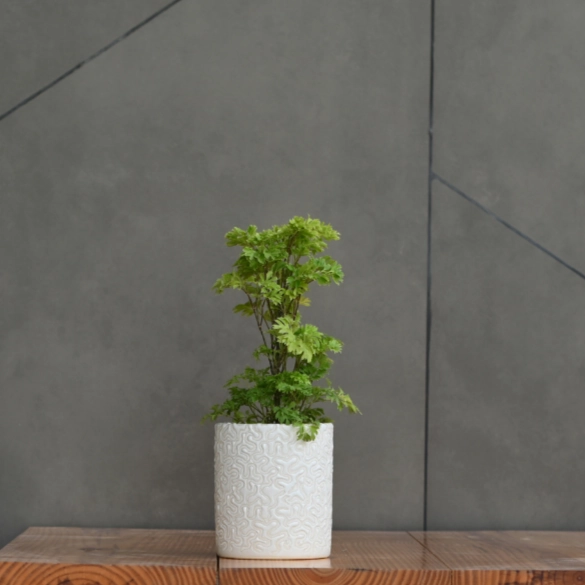 Ceramic Cylender 3D Pot (White)