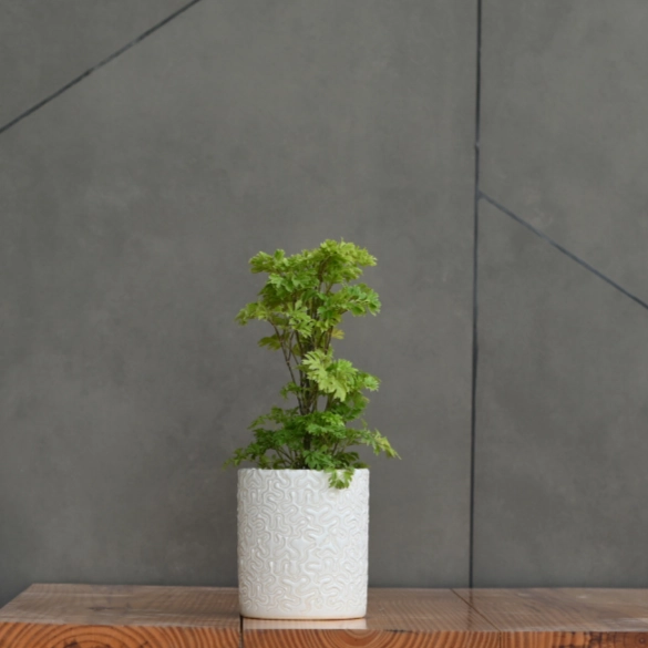 Ceramic Cylender 3D Pot (White)