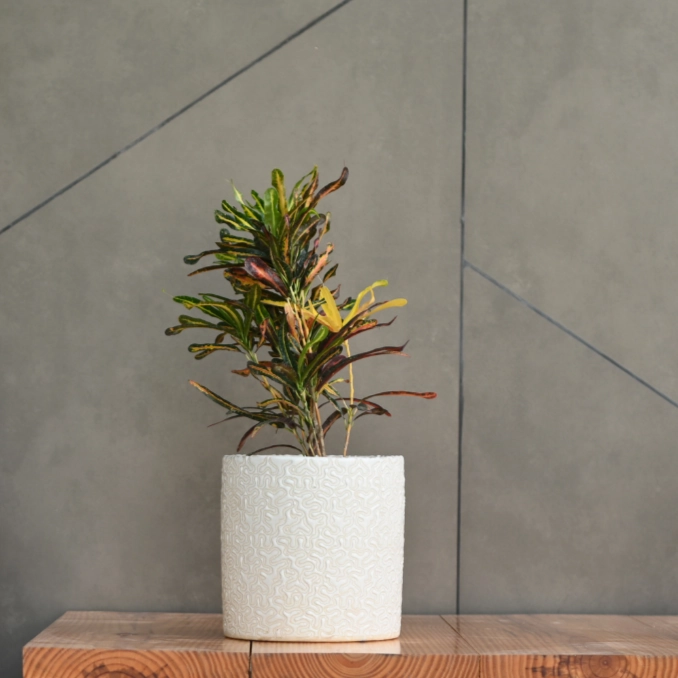 Ceramic Cylender 3D Pot (White)