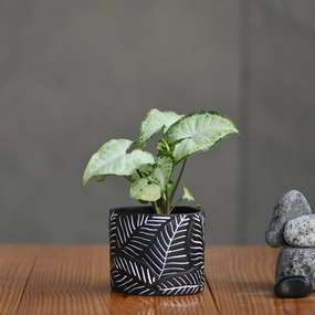 Ceramic Cylender Pot 3D Fern Leaf shade perennial  